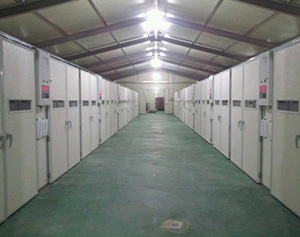 三誠牌環(huán)保型孵化機在韓國獲巨大成功