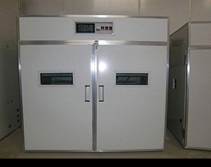 單階段環(huán)保型大中容量孵化機