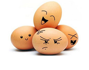 剛出殼的小雞怎么脫溫