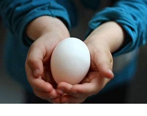 種蛋孵前保存方法