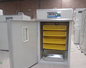 華英農業(yè)曹家富:家禽養(yǎng)殖的“臟亂差”正在改變