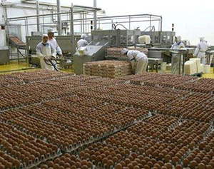 長豐“半路出家”養(yǎng)殖戶 領先走上致富路